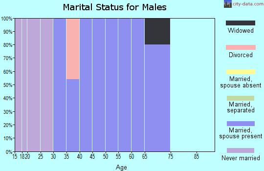 Zip code 44859 marital status for males