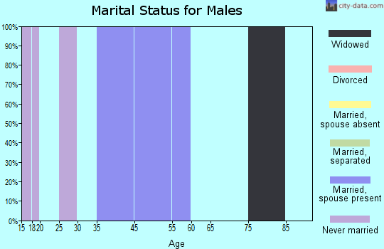 Zip code 44860 marital status for males