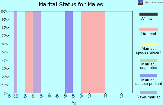 Zip code 44861 marital status for males