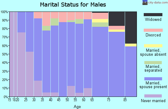 Zip code 44904 marital status for males