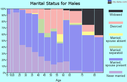 Zip code 44906 marital status for males