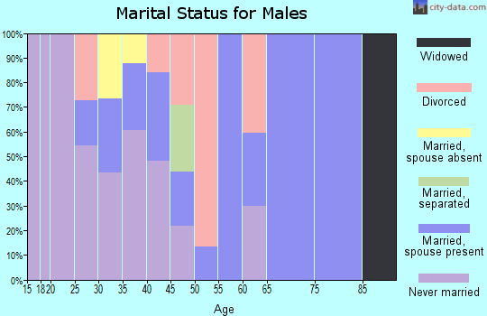 Zip code 45001 marital status for males