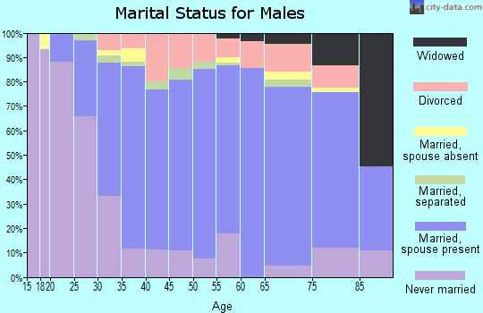 Zip code 45030 marital status for males