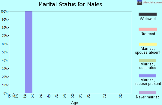 Zip code 45041 marital status for males