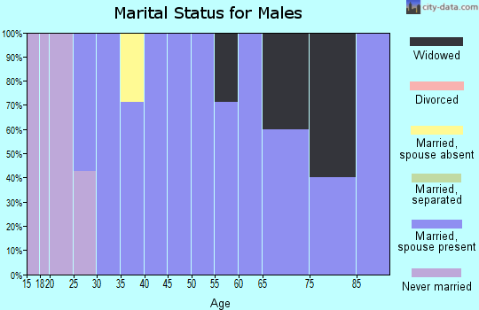 Zip code 45070 marital status for males