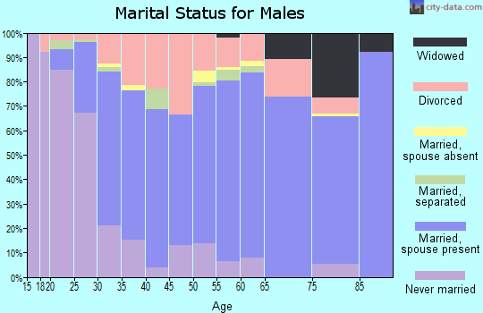 Zip code 45102 marital status for males