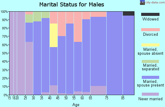 Zip code 45113 marital status for males