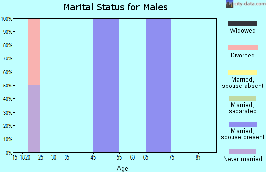 Zip code 45114 marital status for males