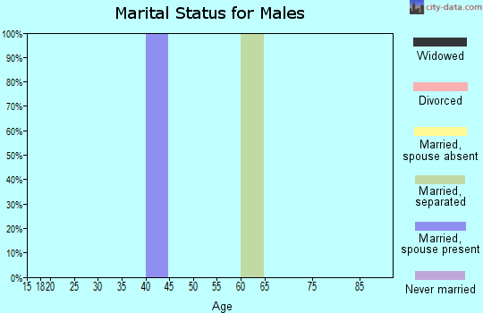 Zip code 45115 marital status for males