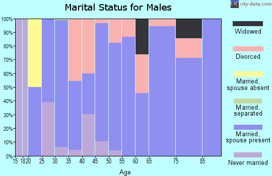 Zip code 45118 marital status for males