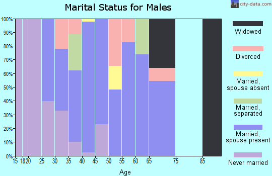 Zip code 45120 marital status for males
