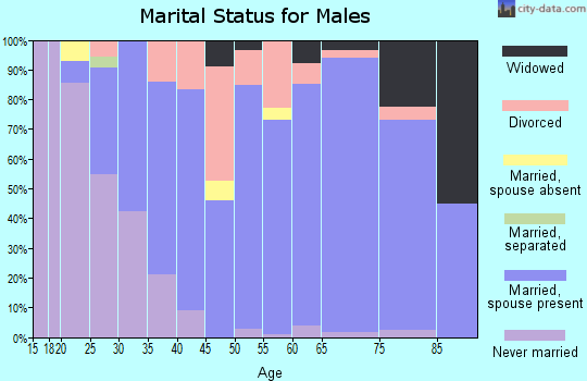 Zip code 45122 marital status for males