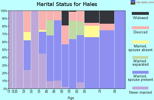 Zip code 45130 marital status for males