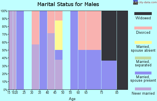 Zip code 45131 marital status for males