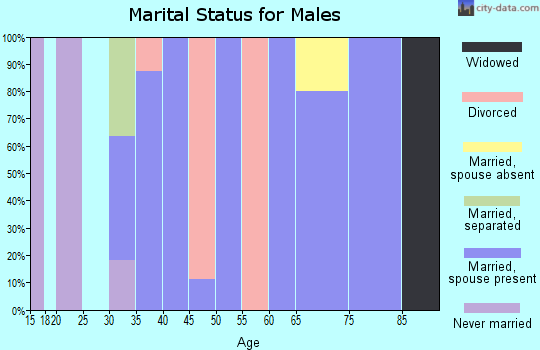 Zip code 45132 marital status for males
