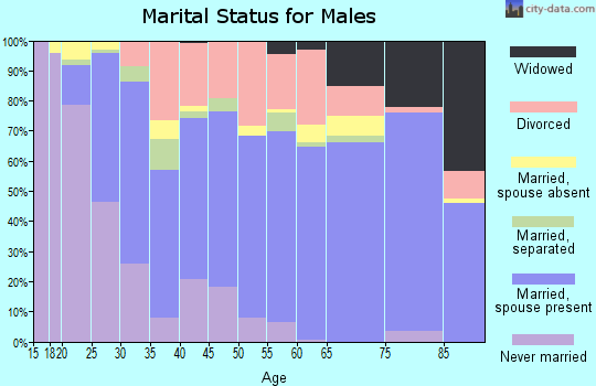 Zip code 45133 marital status for males