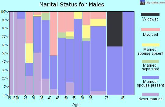 Zip code 45135 marital status for males