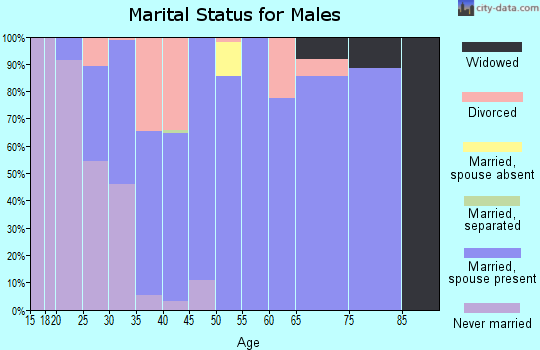 Zip code 45142 marital status for males