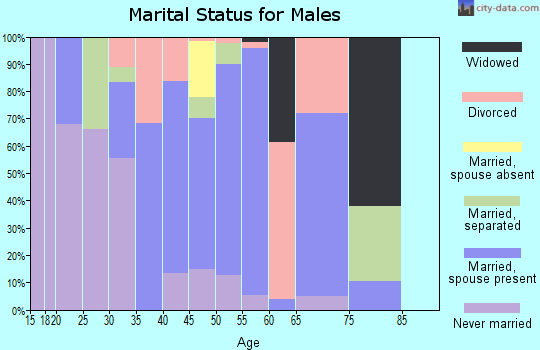 Zip code 45146 marital status for males