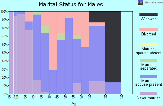 Zip code 45148 marital status for males