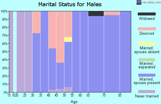 Zip code 45153 marital status for males