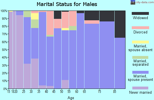 Zip code 45154 marital status for males