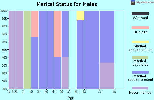 Zip code 45155 marital status for males