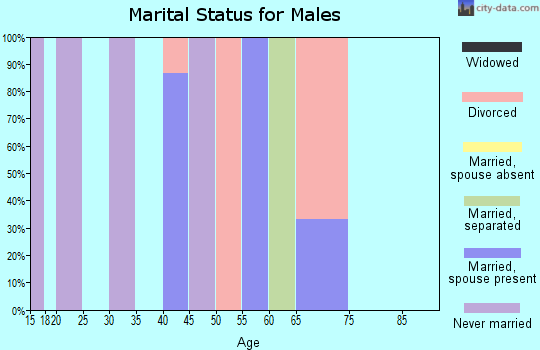 Zip code 45156 marital status for males