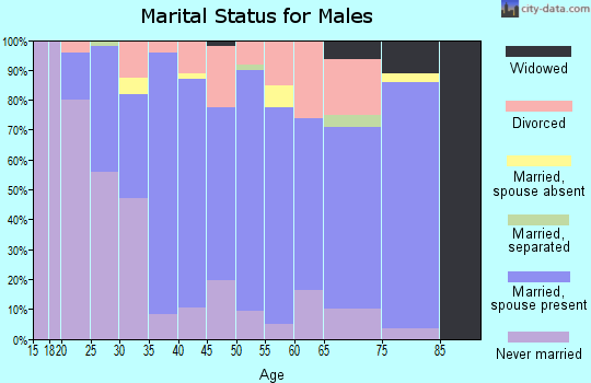 Zip code 45157 marital status for males