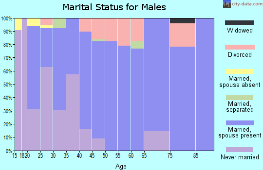 Zip code 45159 marital status for males
