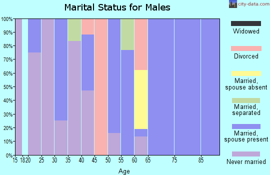 Zip code 45160 marital status for males