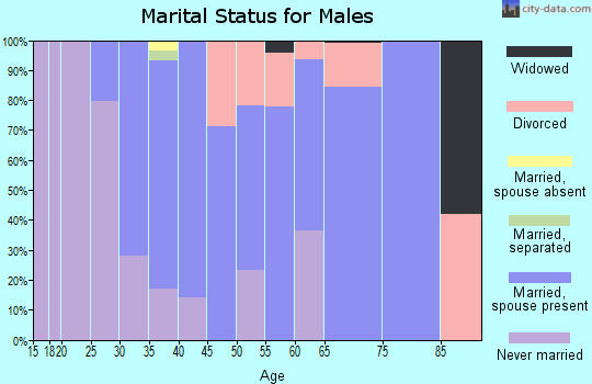 Zip code 45162 marital status for males