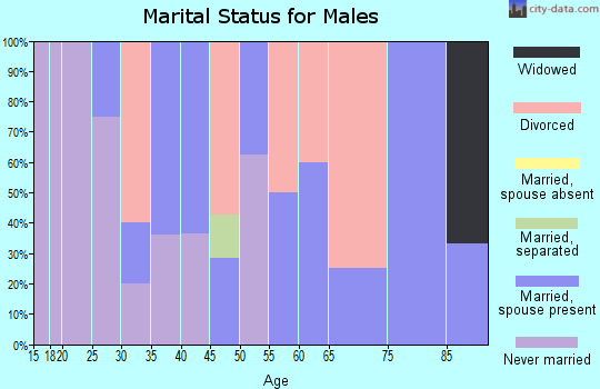 Zip code 45164 marital status for males