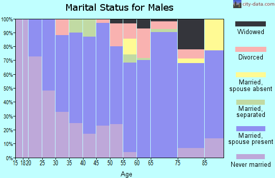 Zip code 45167 marital status for males