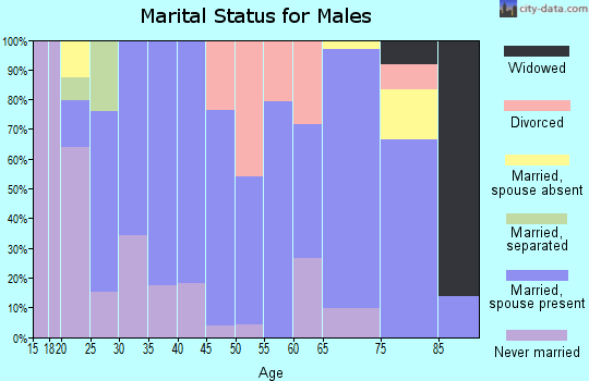 Zip code 45168 marital status for males