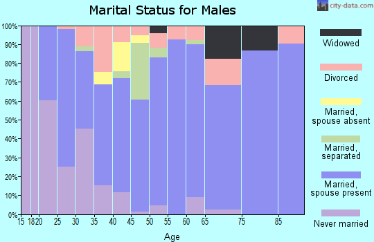 Zip code 45171 marital status for males