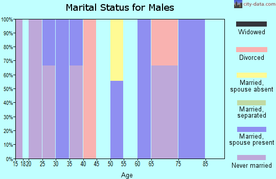 Zip code 45172 marital status for males