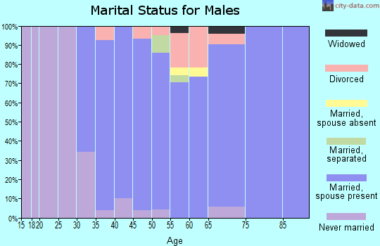 Zip code 45174 marital status for males