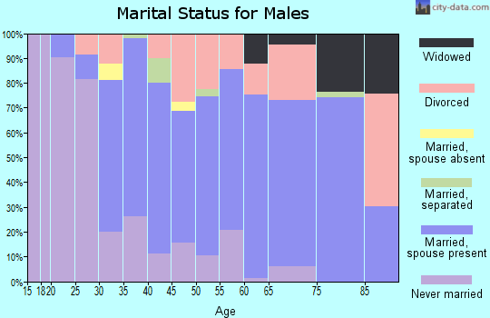Zip code 45176 marital status for males