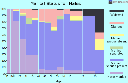 Zip code 45177 marital status for males