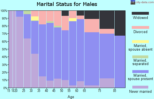 Zip code 45245 marital status for males