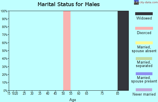 Zip code 45301 marital status for males