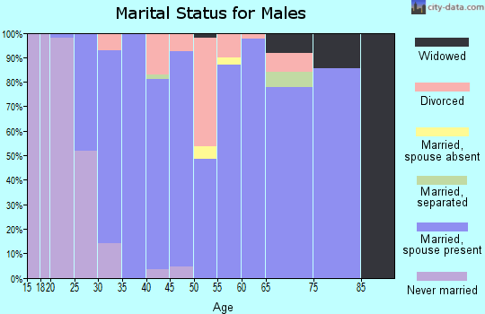 Zip code 45302 marital status for males