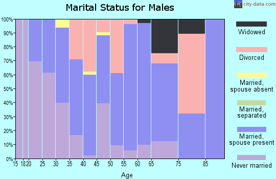 Zip code 45303 marital status for males