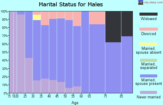 Zip code 45305 marital status for males