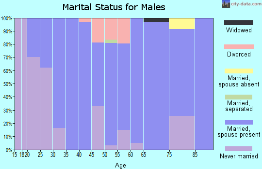 Zip code 45306 marital status for males