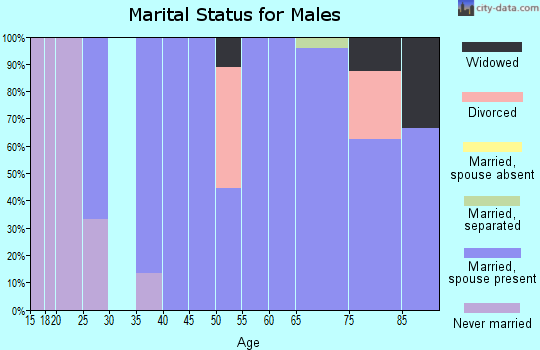 Zip code 45307 marital status for males
