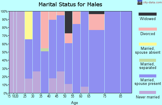 Zip code 45312 marital status for males