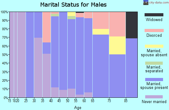 Zip code 45315 marital status for males