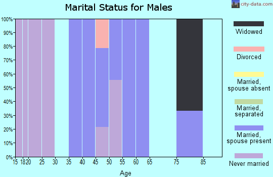 Zip code 45316 marital status for males